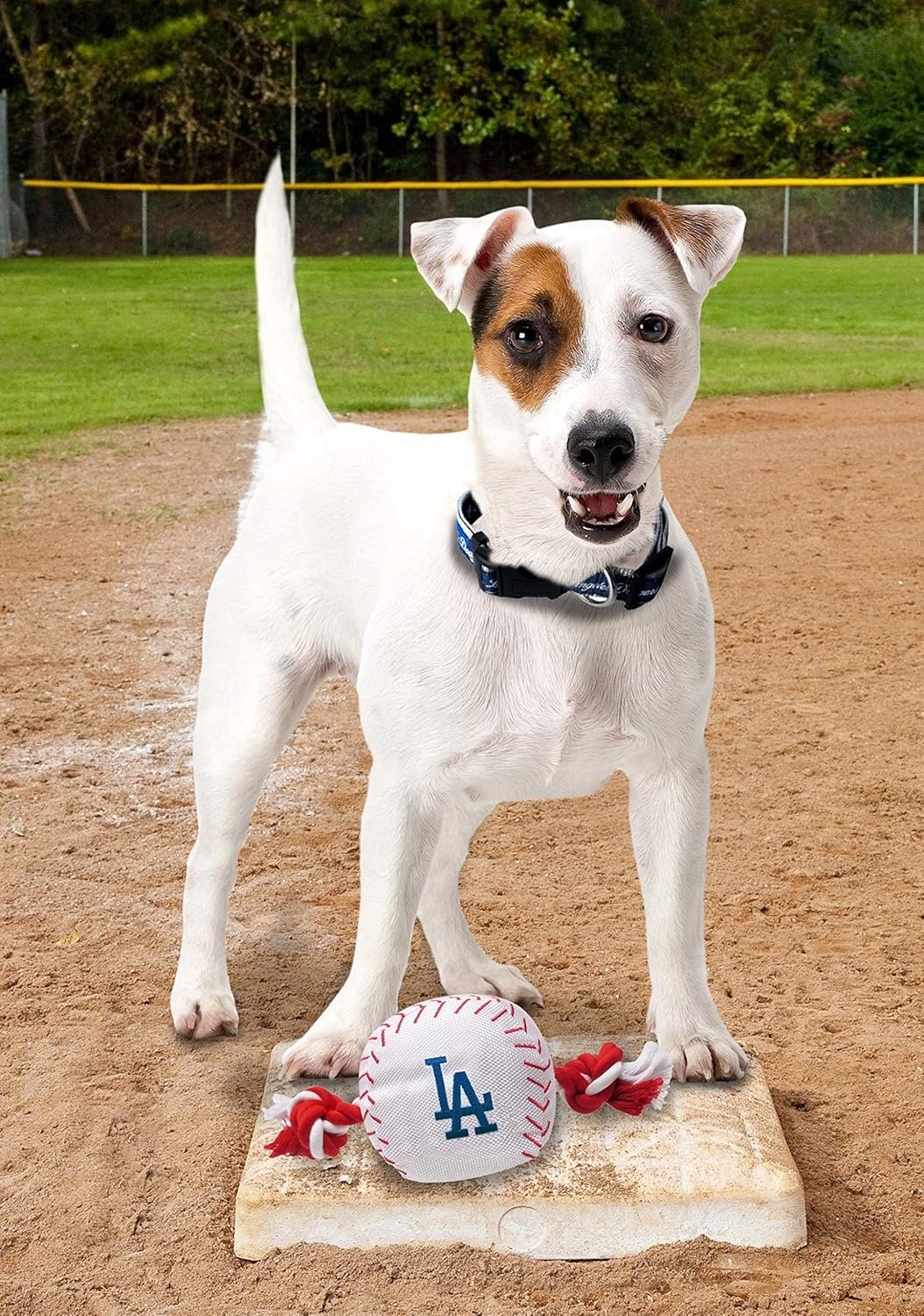 MLB LOS ANGELES DODGERS Baseball Rope Toy for DOGS & CATS. Tough nylon, Sporty Baseball Design, Heavy-duty ropes with Inner SQUEAKER - Image 5