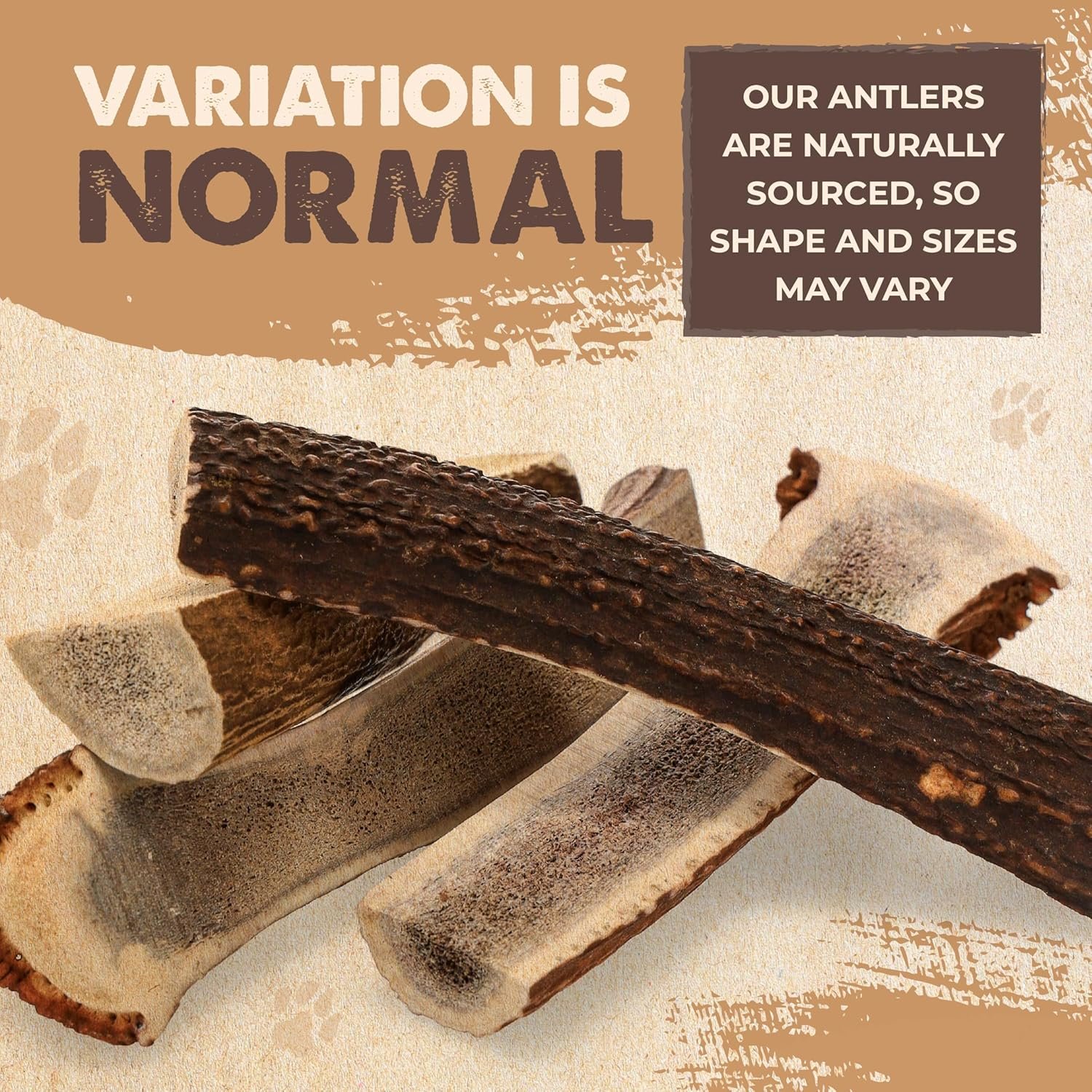 Mighty Paw Split Elk Antlers for Dogs (Sourced in The USA) | 1 Pack, Medium 5”+ Long Lasting Dog Bones for Aggressive Chewers - Naturally Shed Split Deer Antler for Dogs - Low Odor Dog Antler Chews - Image 8