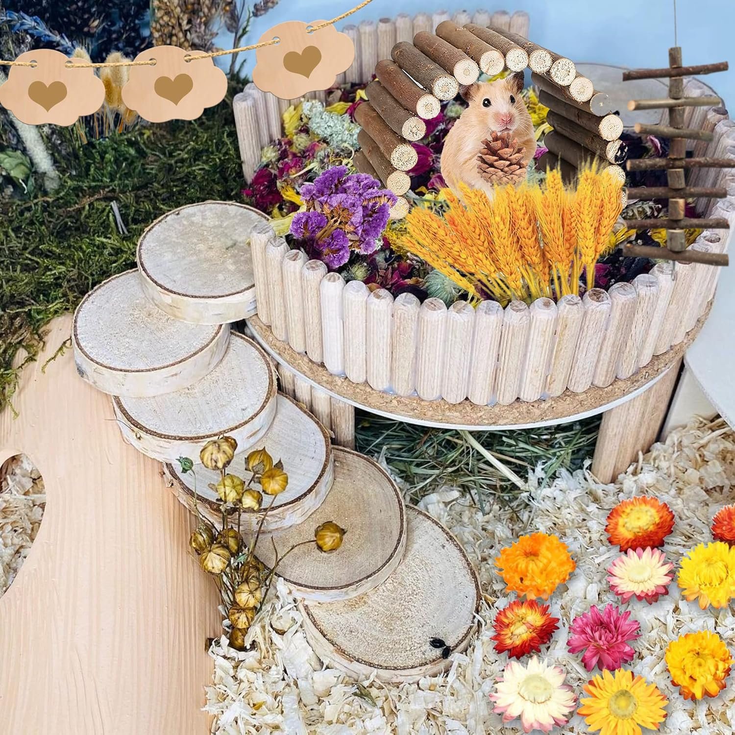 MOMOONNON Hamster Chew Toys Set Natural Wooden Hamster Toys Coconut Hamster House Artificial Plant Dried Flowers Teeth Small Animal Toys Cage Landscaping for Chinchillas Guinea Pigs Pet Mice - Image 6