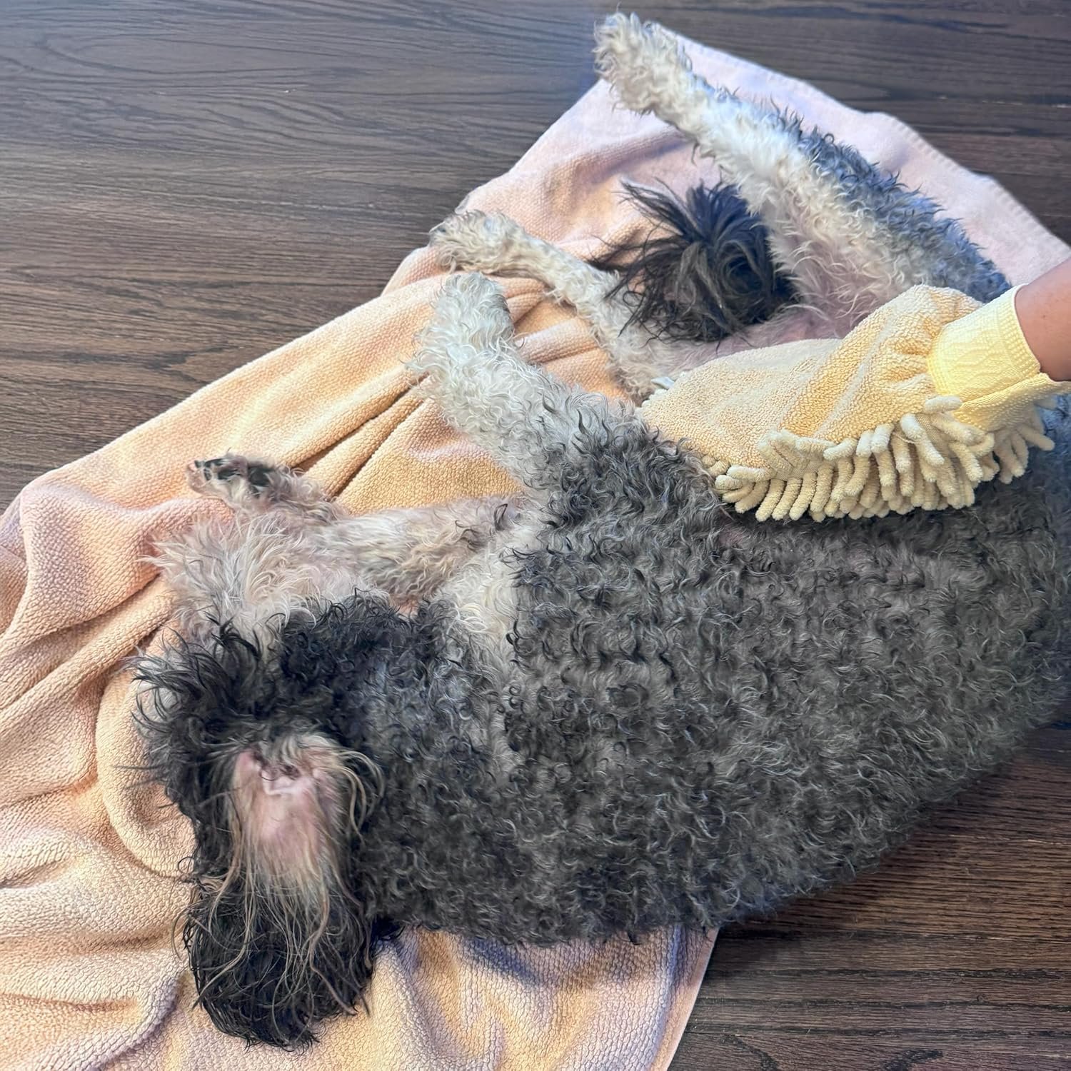 SPOT Clean Paws - Chenille Microfiber Dog Towel Mit - 9.5X7 Inches/Attractive, Durable, Super Absorbent, Washable. by Ethical Pets - Image 7