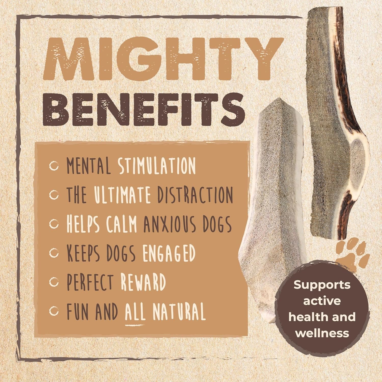 Mighty Paw Split Elk Antlers for Dogs (Sourced in The USA) | 1 Pack, Medium 5”+ Long Lasting Dog Bones for Aggressive Chewers - Naturally Shed Split Deer Antler for Dogs - Low Odor Dog Antler Chews - Image 5