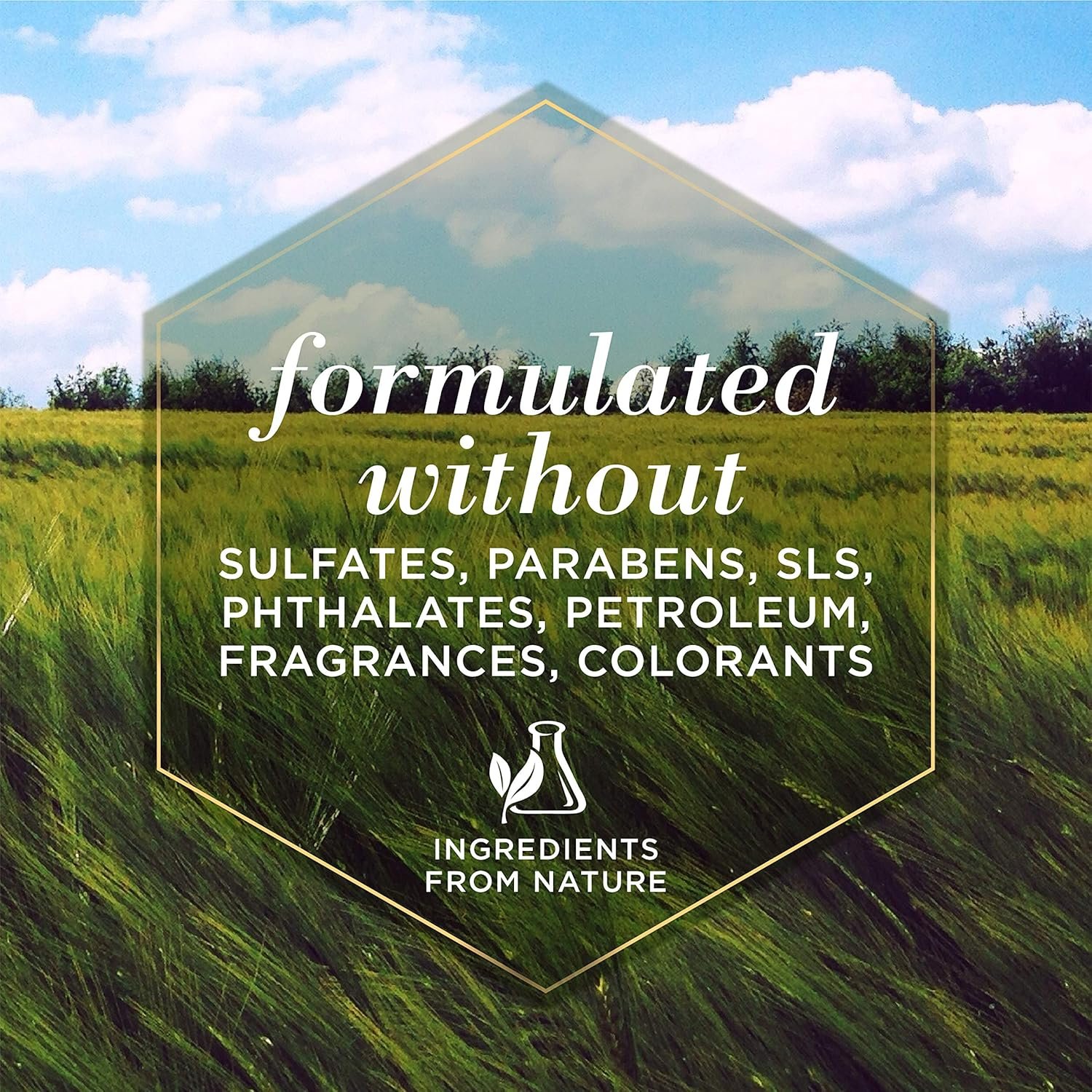 Burt's Bees for Pets Shed Control Shampoo for Dogs with Omega-3 and Vitamin E, 99.7% Natural Origin Formulas, Dog Shampoo for Reducing Shedding - Deshedding Dog Shampoo, 16 oz - Image 10