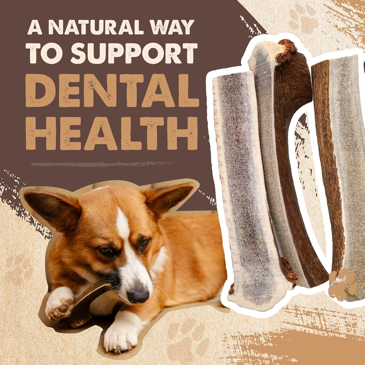 Mighty Paw Split Elk Antlers for Dogs (Sourced in The USA) | 1 Pack, Medium 5”+ Long Lasting Dog Bones for Aggressive Chewers - Naturally Shed Split Deer Antler for Dogs - Low Odor Dog Antler Chews - Image 6