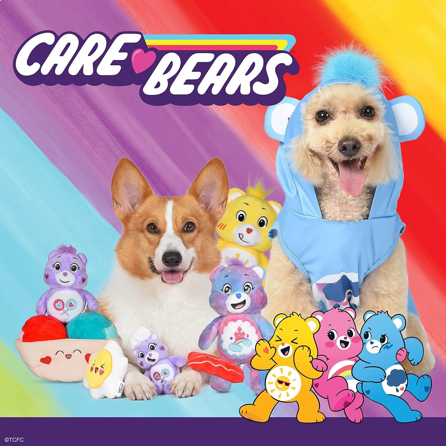 Care Bear for Pets Pet Plush Squeaky Toy Cheer Bear, 9” with Squeaker Inside and Crinkle Ears | Cheer Bear for Dogs Squeaky Plush Toy | Collectible Dog Toys (FF19786) - Image 8
