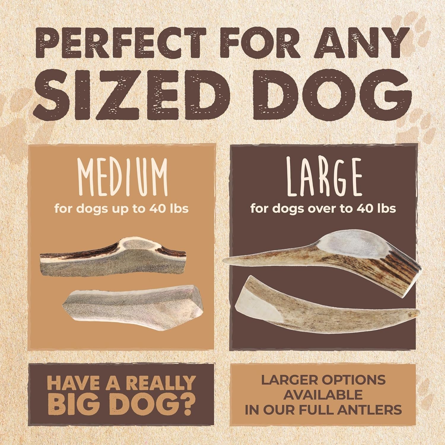 Mighty Paw Split Elk Antlers for Dogs (Sourced in The USA) | 1 Pack, Medium 5”+ Long Lasting Dog Bones for Aggressive Chewers - Naturally Shed Split Deer Antler for Dogs - Low Odor Dog Antler Chews - Image 7