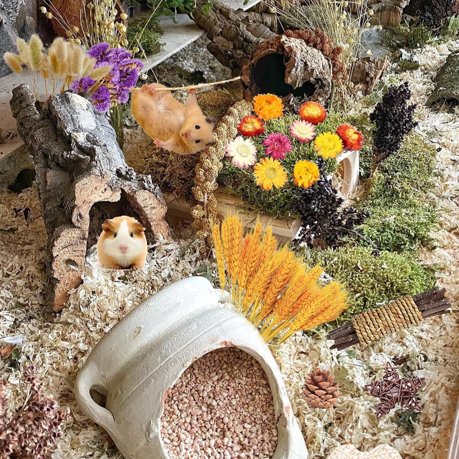 MOMOONNON Hamster Chew Toys Set Natural Wooden Hamster Toys Coconut Hamster House Artificial Plant Dried Flowers Teeth Small Animal Toys Cage Landscaping for Chinchillas Guinea Pigs Pet Mice - Image 8