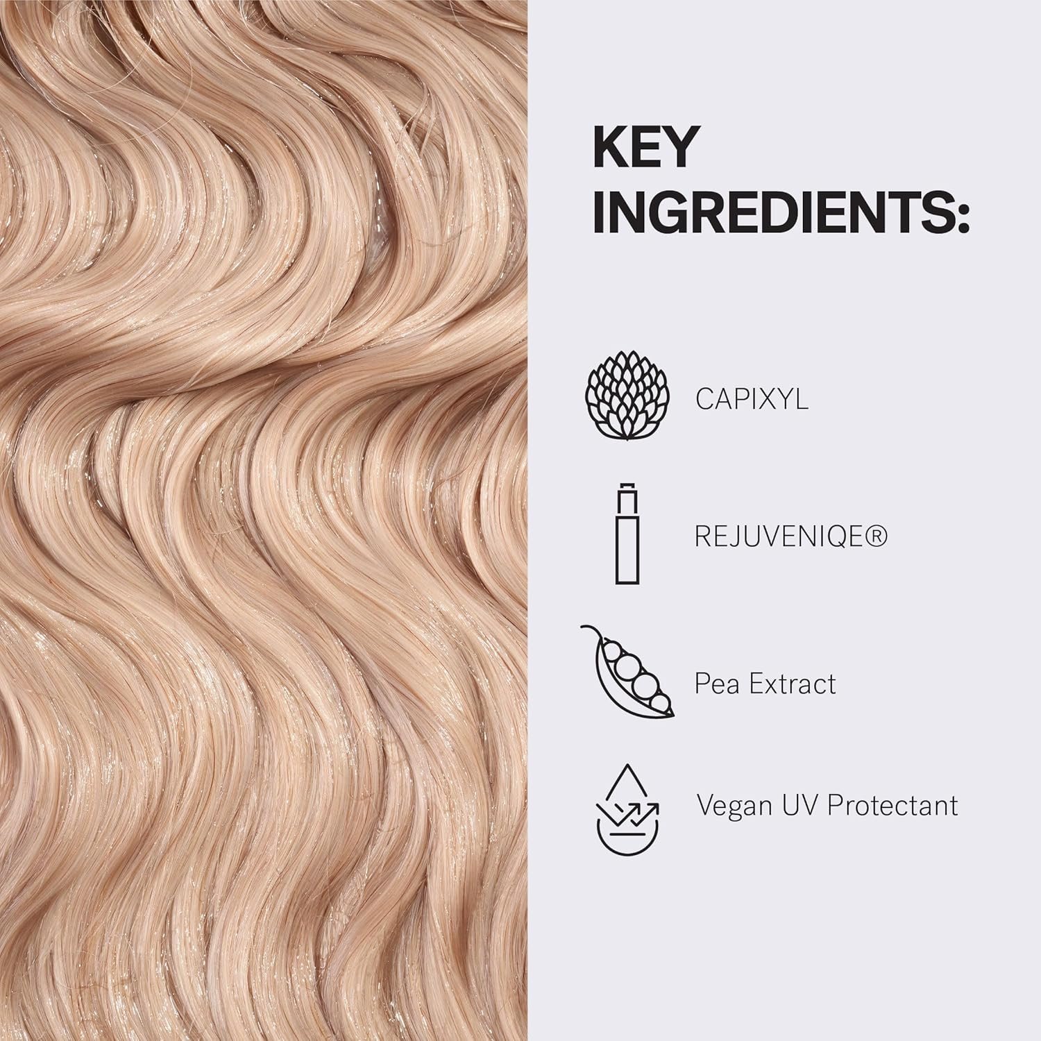 MONAT Volumizing Revive Shampoo Infused w/Rejuveniqe - Weightless Hair Shampoo adds Volume & Softness to Fine & Medium Hair w/Pea Extract & Vegan UV Protectant - Net Wt. 237 ml ℮ 8 fl. oz. - Image 6