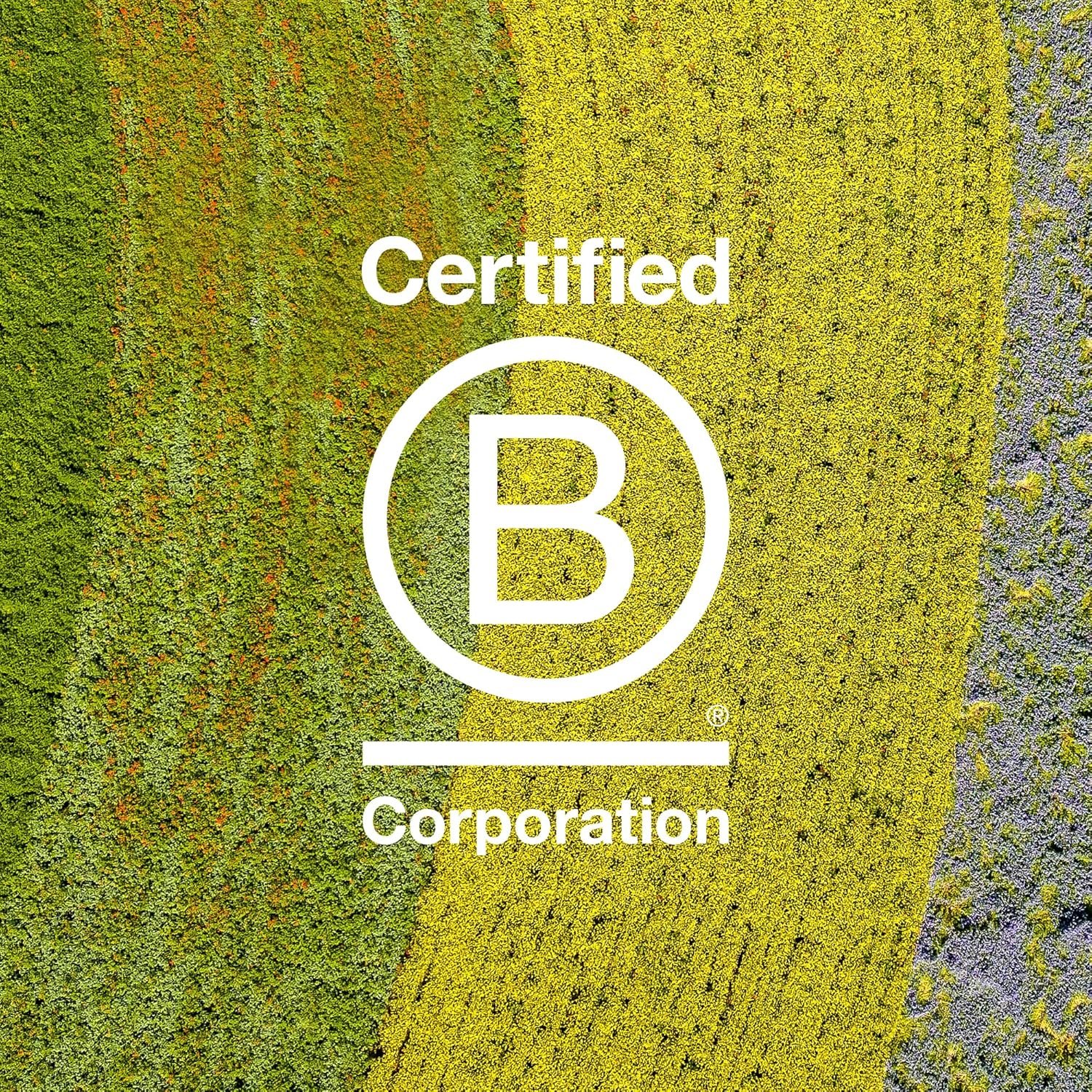 Davines VOLU Shampoo, Volume Shampoo For Fine, Thin Hair Types, Gentle Everyday Volumizing - Image 9