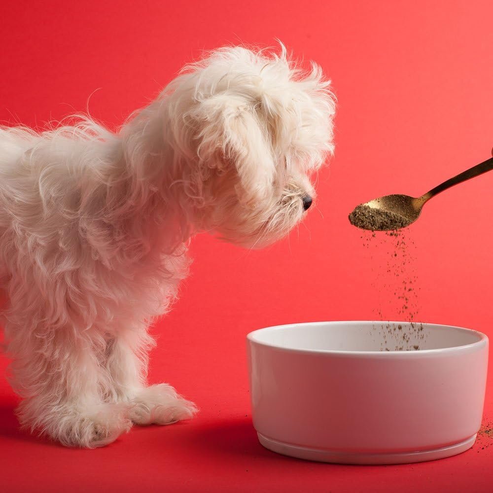 The Missing Link Puppy 8oz Supplement – Superfood Powder Promotes Growth & Development, Supports Immunity, Digestion, Bones, Skin & Coat of Dog - Image 3