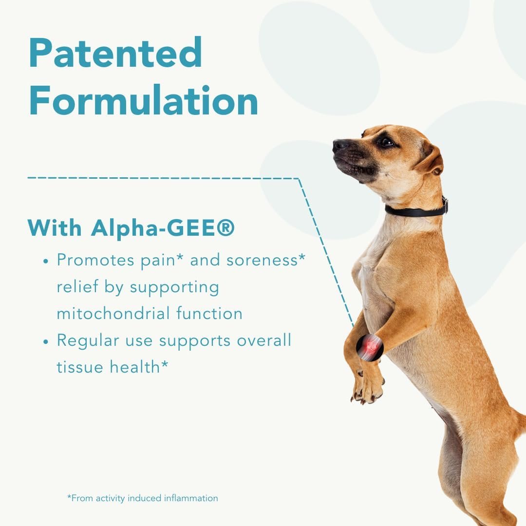 Dog Joint Pain Relief Activity-Induced Capsules, Dog Joint Supplement Small Breed, Hip and Joint Supplement for Dogs, Dog Joint Pills for Fast Relief from Activity-Induced Pain - 90 Ct - Image 4