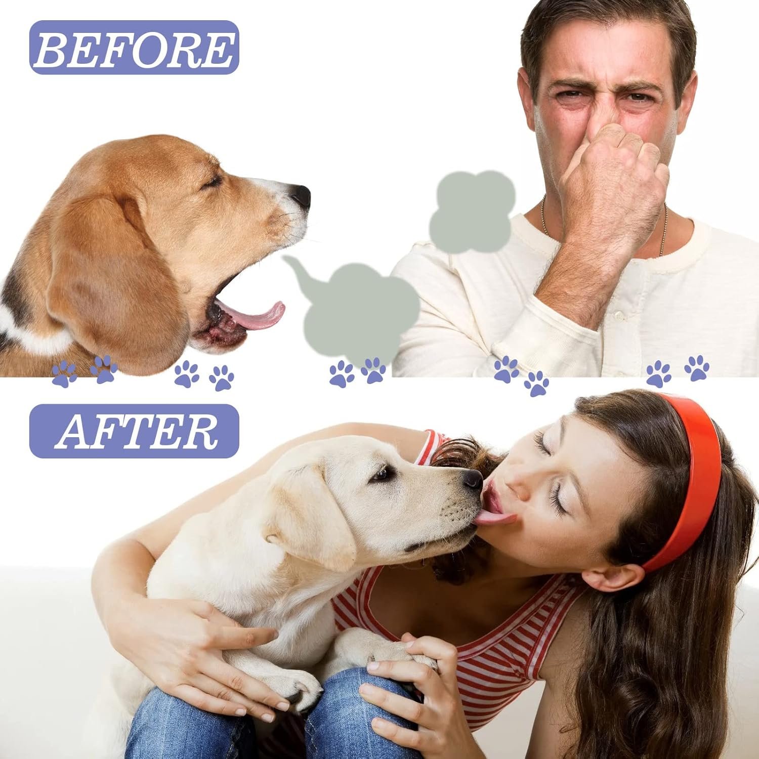 Teeth Cleaning Spray for Dogs & Cats,Pet Oral Spray Clean Teeth,Pet Breath Freshener Spray Care Cleaner,Targets Tartar & Plaque Eliminate Bad Breath Therapy - Image 9