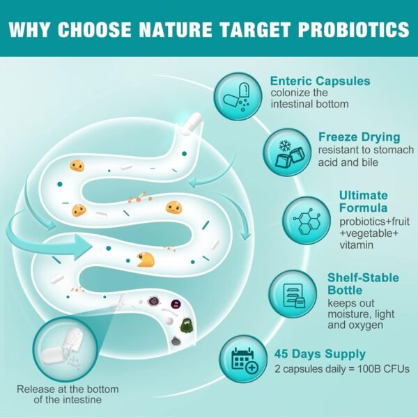 NATURE TARGET Probiotics for Women-Men-Kids Digestive Health, Prebiotics and Probiotics for Women, 100 Billion for Gut and Immune Health, No Refrigeration, 90 Veggie Capsules (45 Days Supply) - Image 3