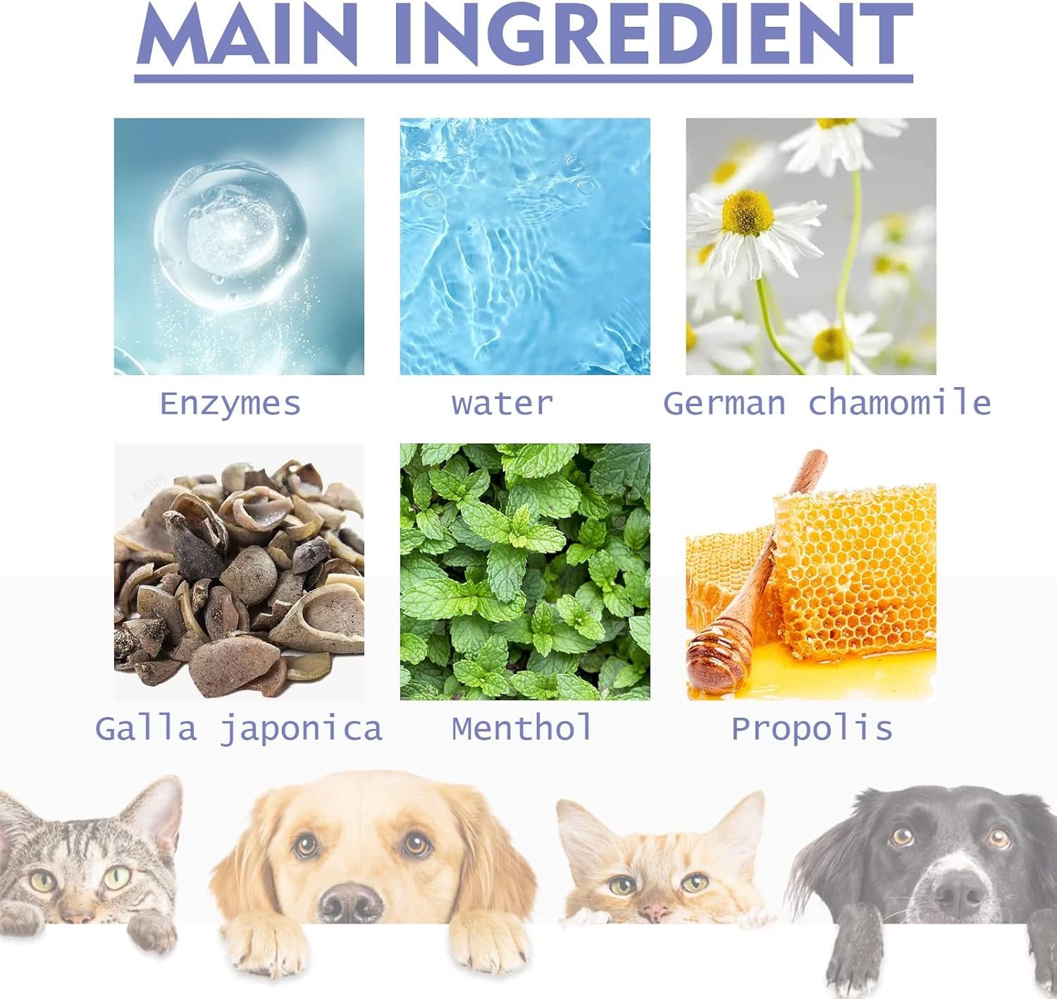 Teeth Cleaning Spray for Dogs & Cats,Pet Oral Spray Clean Teeth,Pet Breath Freshener Spray Care Cleaner,Targets Tartar & Plaque Eliminate Bad Breath Therapy - Image 5