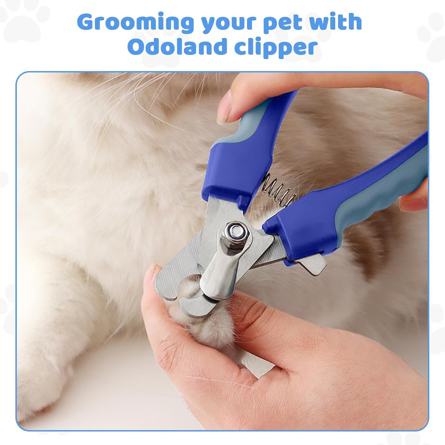 Odoland Dog Brush Grooming Care Kit - 6 in 1 Dog Brush Dog Slicker Brush Undercoat Rake, Dog Hair Removal Comb Pet Nail Clippers Shedding Tool for Long Haired Cat and Puppy Blue - Image 7