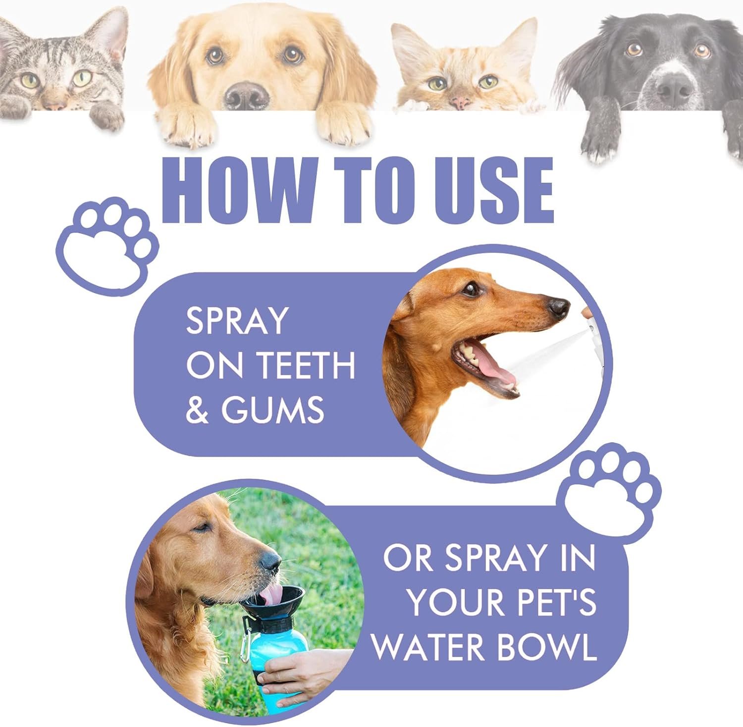 Teeth Cleaning Spray for Dogs & Cats,Pet Oral Spray Clean Teeth,Pet Breath Freshener Spray Care Cleaner,Targets Tartar & Plaque Eliminate Bad Breath Therapy - Image 4