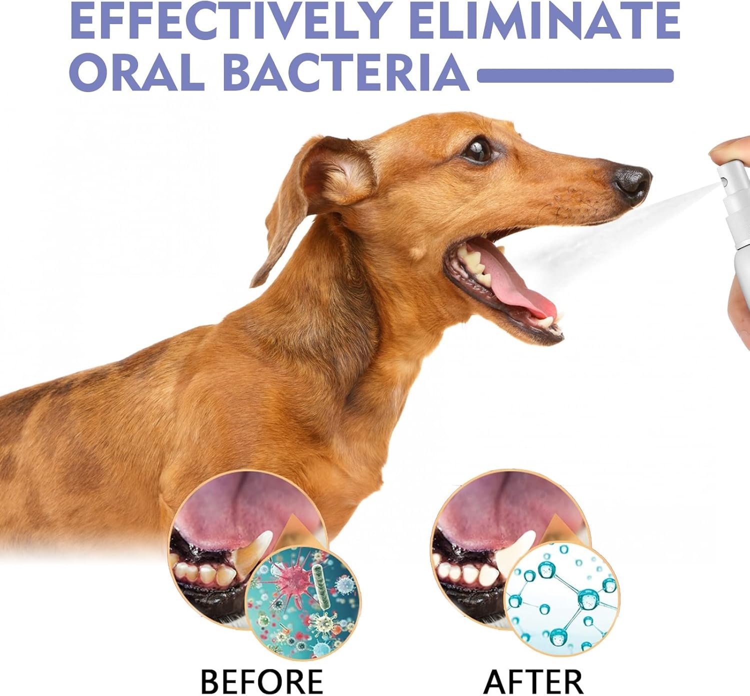 Teeth Cleaning Spray for Dogs & Cats,Pet Oral Spray Clean Teeth,Pet Breath Freshener Spray Care Cleaner,Targets Tartar & Plaque Eliminate Bad Breath Therapy - Image 10