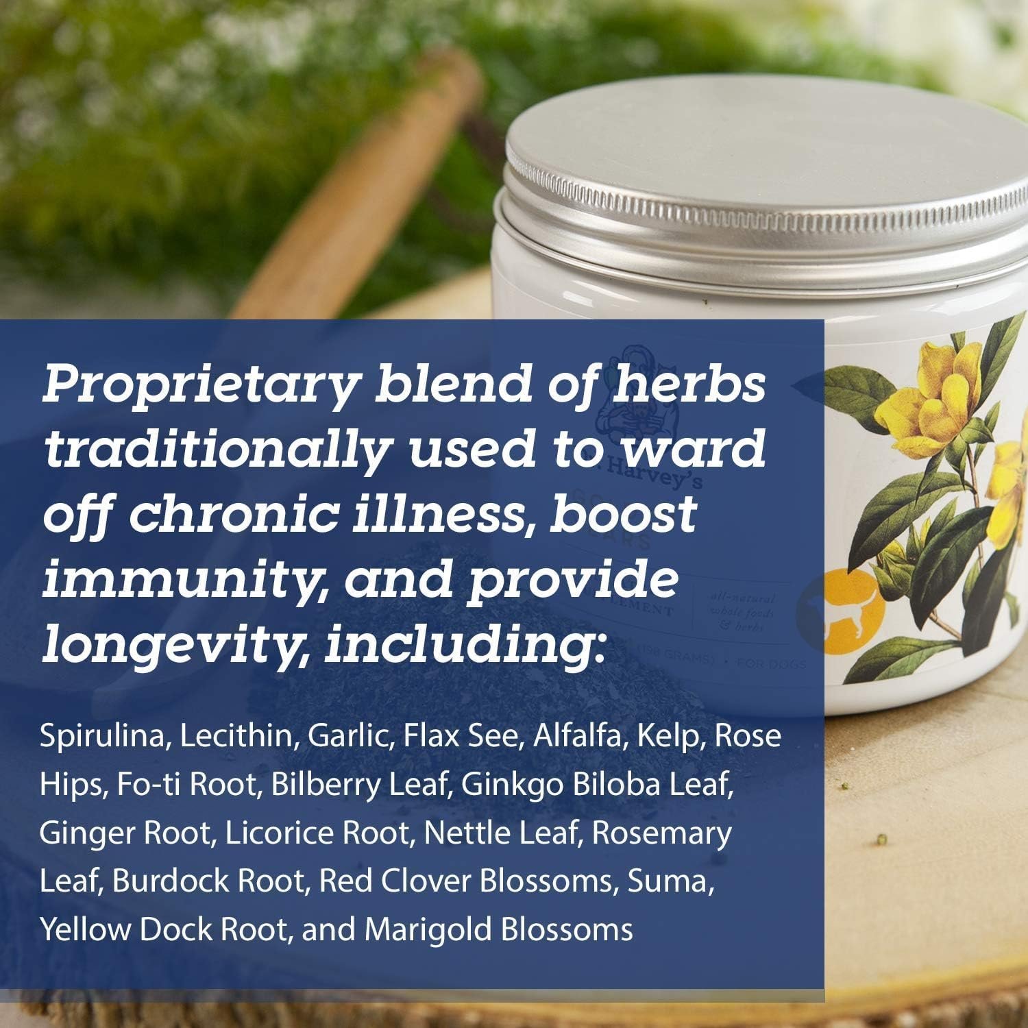 Dr. Harvey's Golden Years Geriatric Herbal Supplement for Senior Dogs, 7 Oz - Image 5