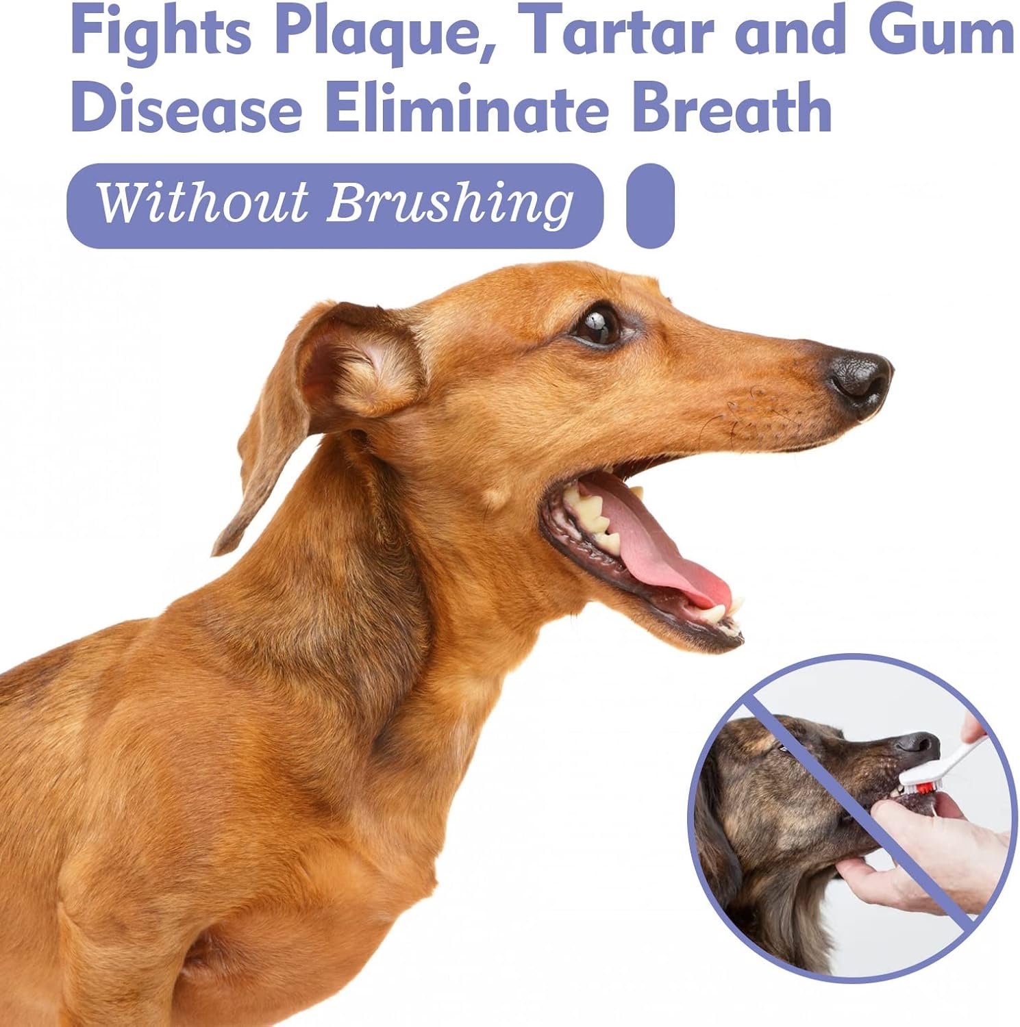 Teeth Cleaning Spray for Dogs & Cats,Pet Oral Spray Clean Teeth,Pet Breath Freshener Spray Care Cleaner,Targets Tartar & Plaque Eliminate Bad Breath Therapy - Image 6
