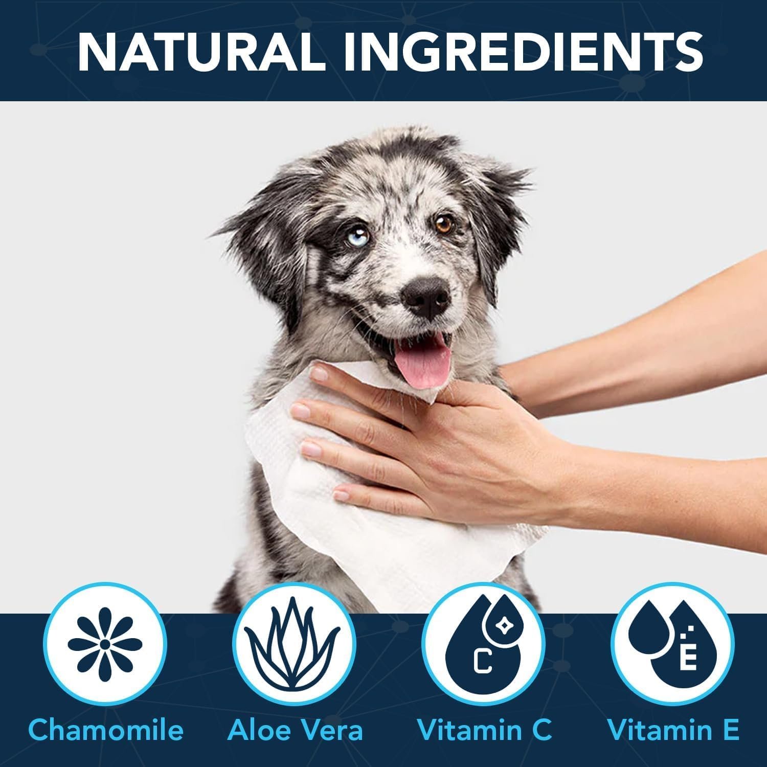 NOVEHA Dog Wipes - Odor Eliminating and Cleaning Grooming Wipes for Dog's Paws, Body, and Butt - Perfect for Puppy and Adult Dogs - Plant-Based, Safe, Convenient & Large Unscented Wipes (360 Counts) - Image 5