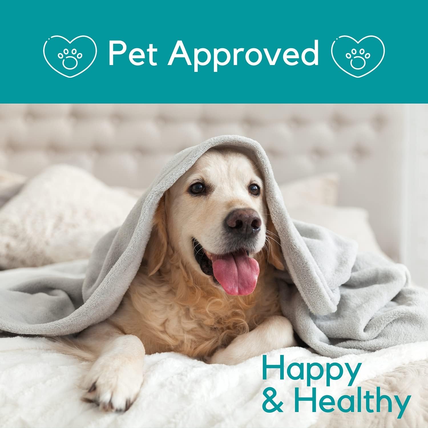 Organic Hemp Oil for Dogs and Cats - Liquid Supplement for Calming, Hip & Joint Support, and Overall Wellness - Made in USA - Image 7