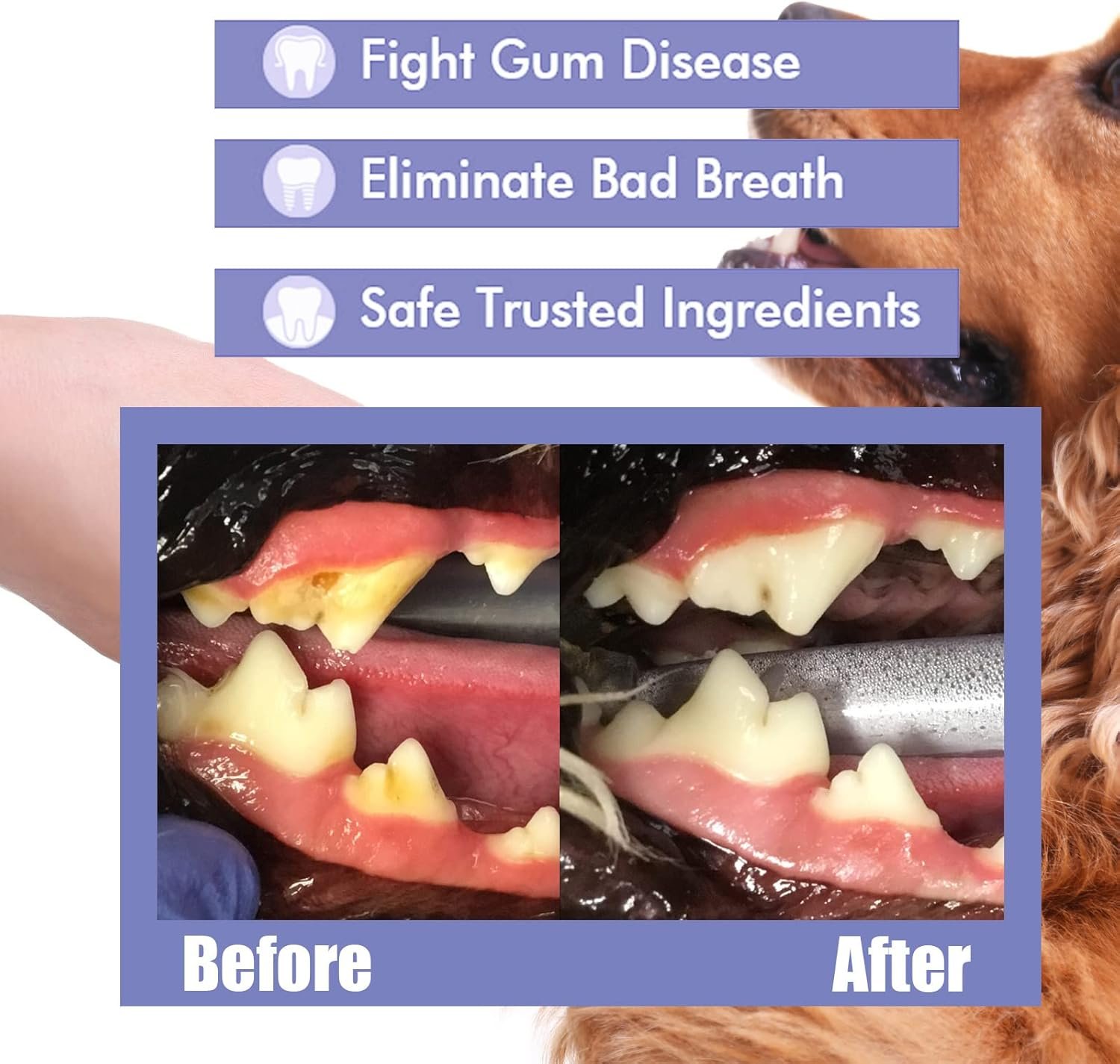 Teeth Cleaning Spray for Dogs & Cats,Pet Oral Spray Clean Teeth,Pet Breath Freshener Spray Care Cleaner,Targets Tartar & Plaque Eliminate Bad Breath Therapy - Image 7
