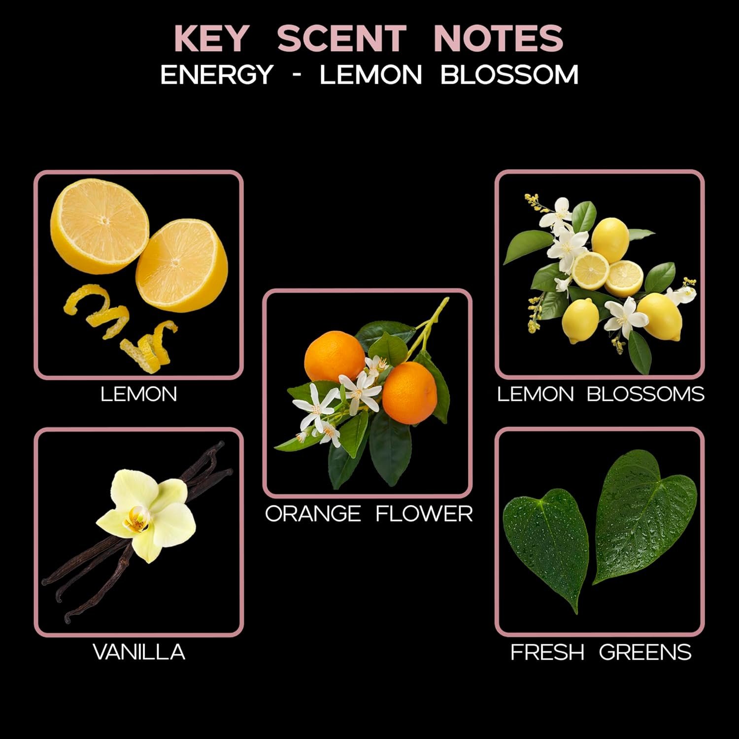 LOVSPA Energy Lemon Blossom Scented Reed Diffuser Oil & Sticks Gift Set | Bright Zesty Lemon, Orange Flower, Grapefruit, Vanilla & Herbs | Made with Essential Oils & Decorated with Real Botanicals! - Image 5