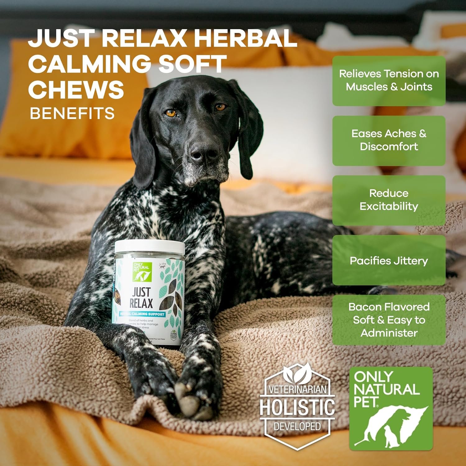 Only Natural Pet - Just Relax Herbal Calming Soft Chews for Dogs | Natural Anxiety Relief Treats, Premium Dog Relaxation Aid, Stress and Anxiety Relief Supplement - Bacon Flavor - 120 Soft Chews - Image 5