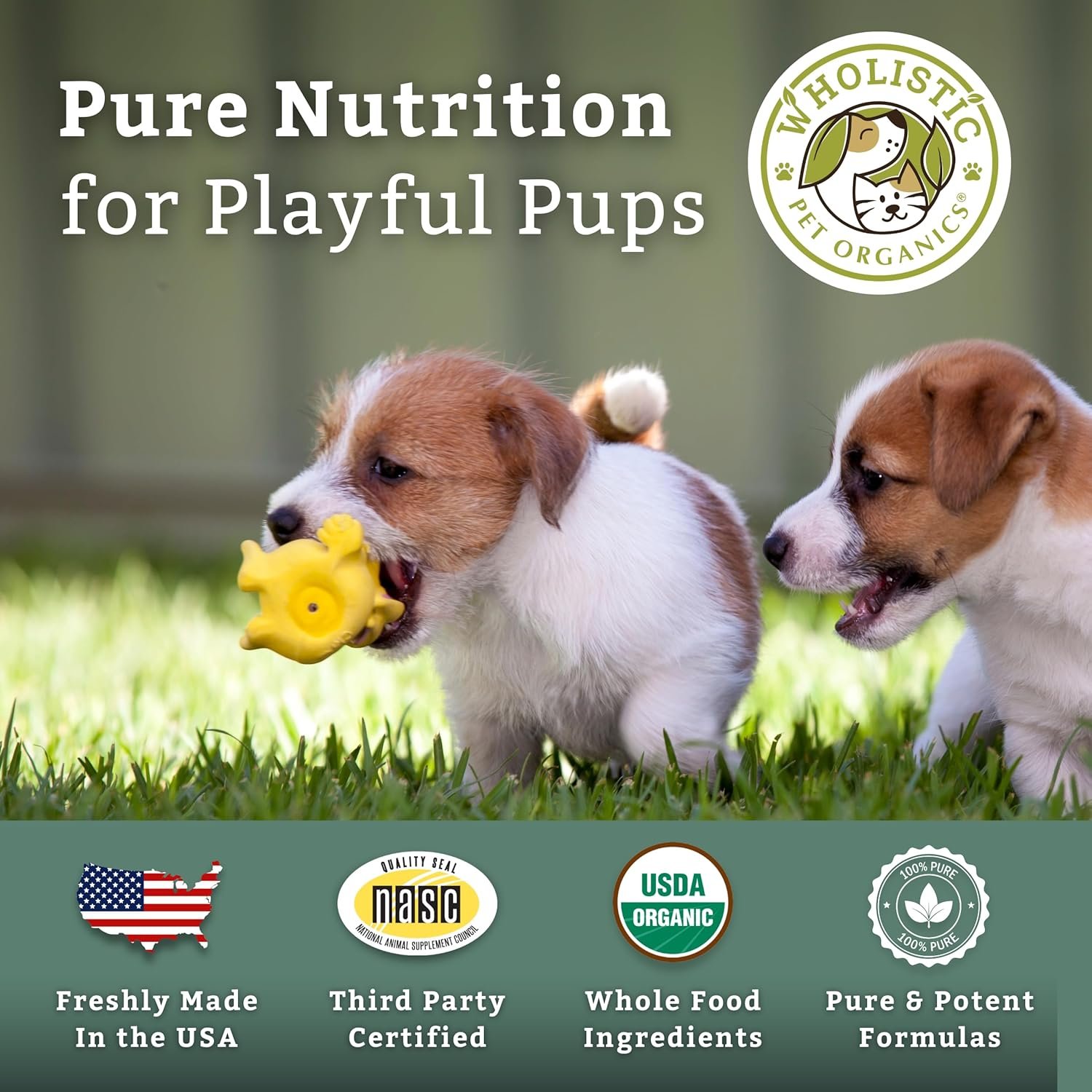 Wholistic Pet Organics Puppy Vitamins - 1 Lb - Coat Support Powder for Dogs, Dog Itching Skin Relief Powder, Skin and Coat Supplement with Omega 3 - Image 7