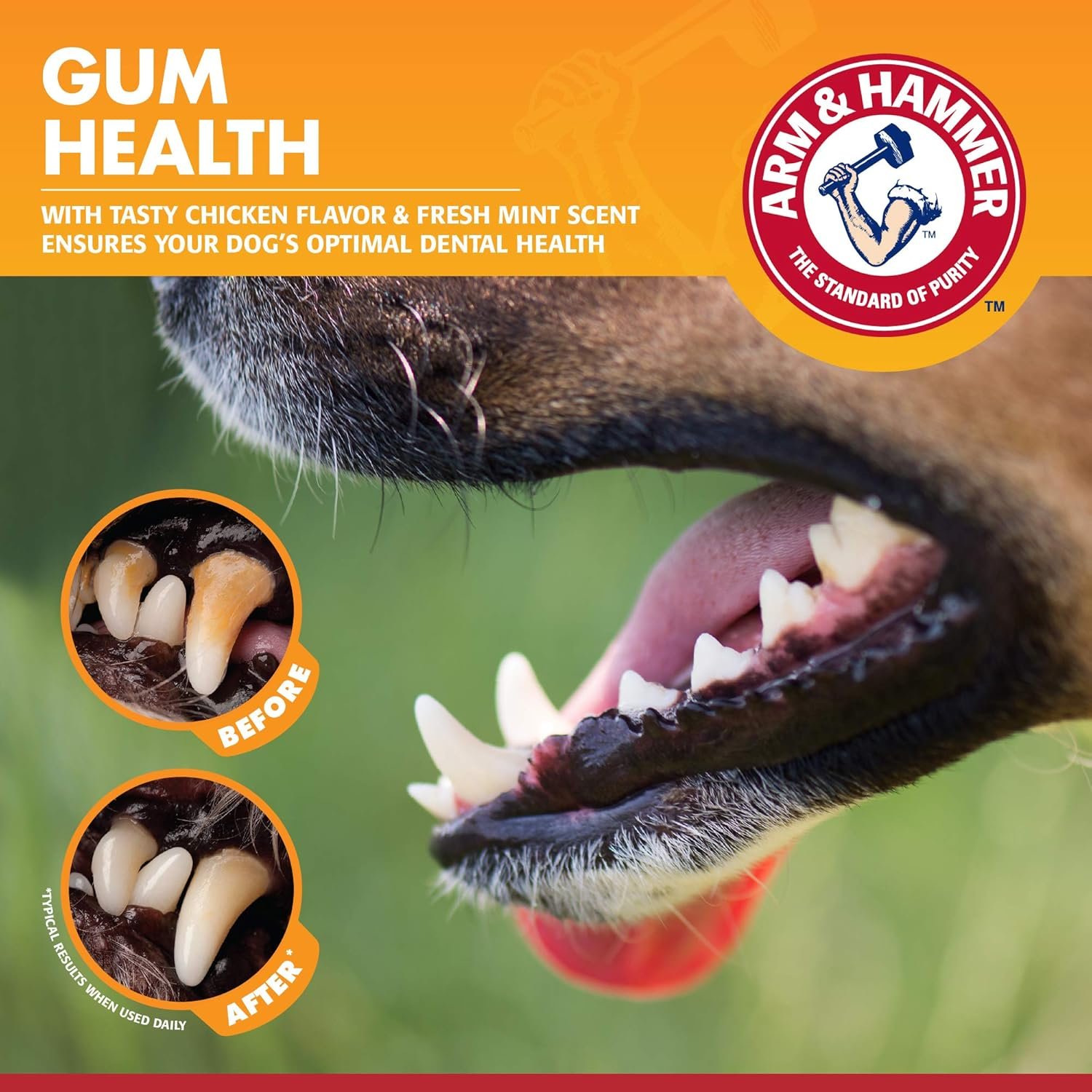 Arm & Hammer for Pets Clinical Care Dental Gum Health Kit for Dogs Contains Toothpaste, Toothbrush & Fingerbrush Soothes Inflamed Gums, 3-Piece Kit, Chicken Flavor - 2 Pack - Image 5