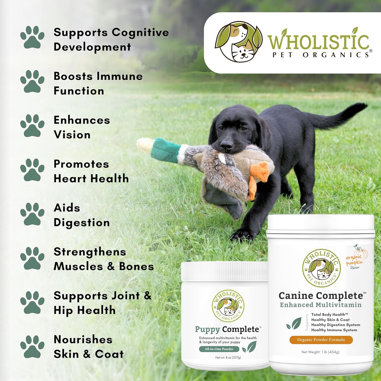 Wholistic Pet Organics Puppy Vitamins - 1 Lb - Coat Support Powder for Dogs, Dog Itching Skin Relief Powder, Skin and Coat Supplement with Omega 3 - Image 4